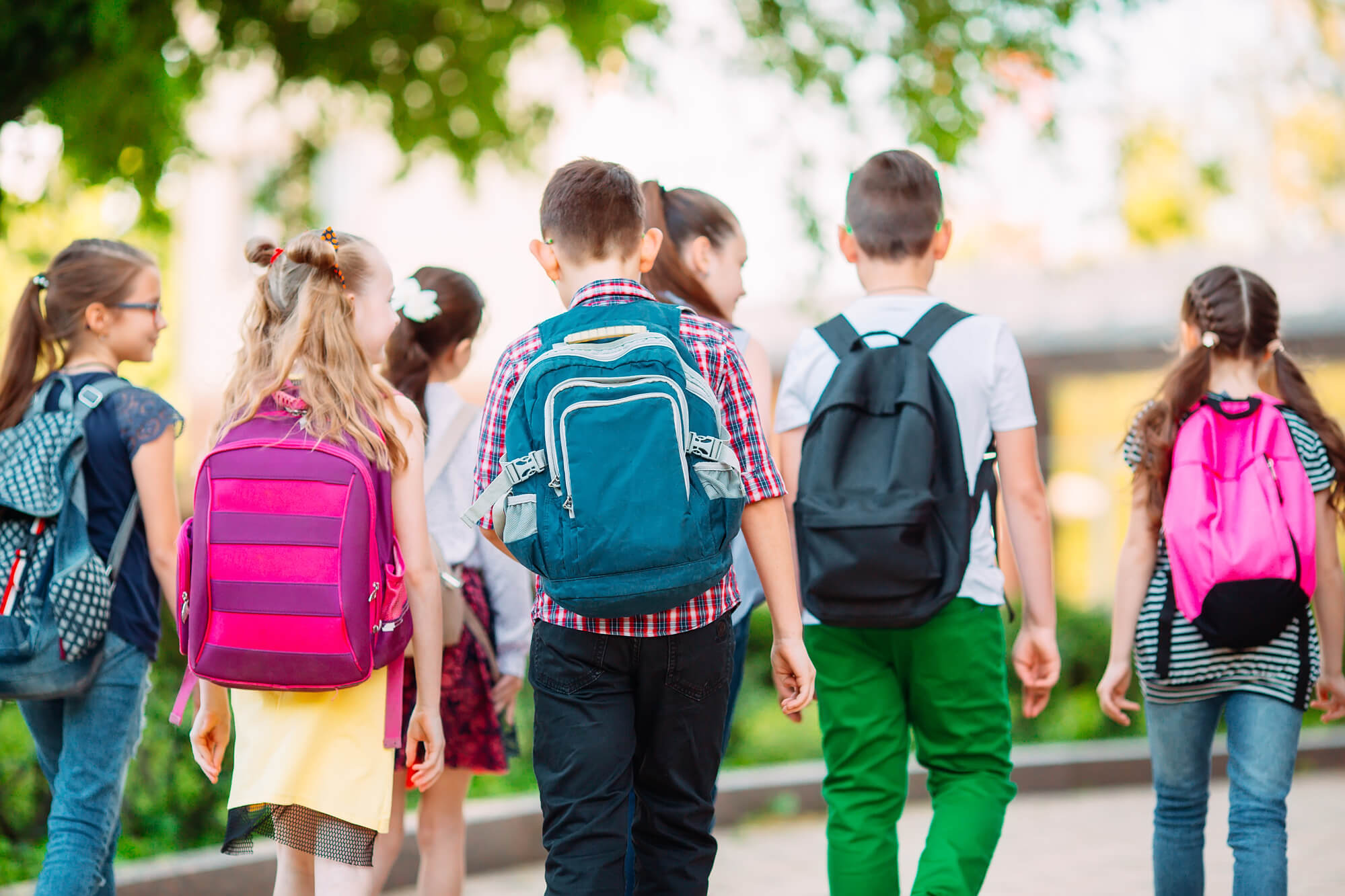 Enhancing School Safety and Security with School Management Software